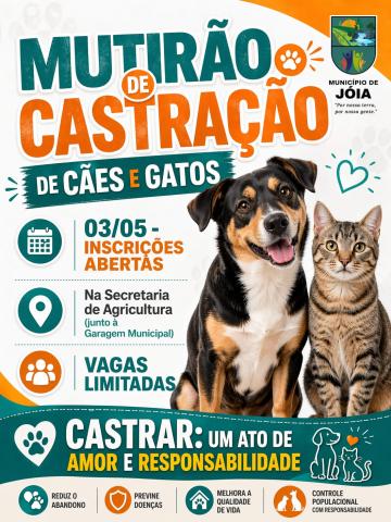 Jóia realiza mutirão de castração de cães e gatos 