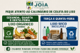 Prefeitura de Jóia reforça conscientização sobre o descarte correto do lixo